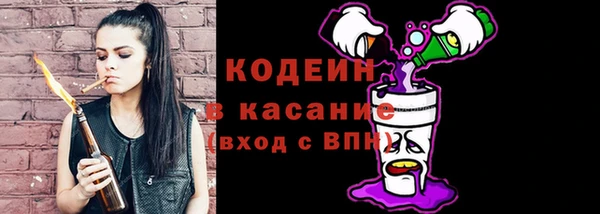 крисы Магас