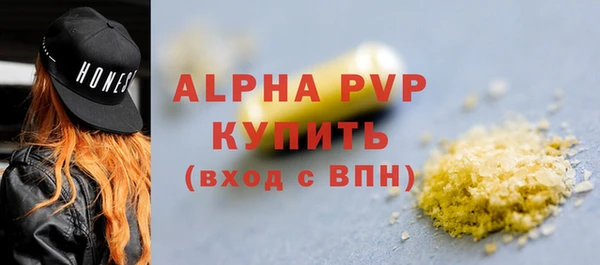 крисы Магас
