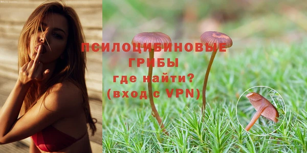 хмурый Майский