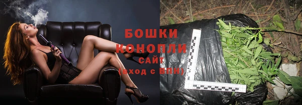 крисы Магас