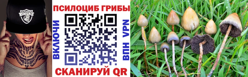 мега сайт Новотроицк Галлюциногенные грибы ЛСД
