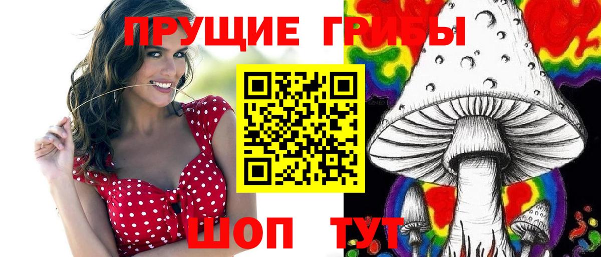 Новотроицк  Псилоцибиновые грибы мухоморы  Вход с VPN 
