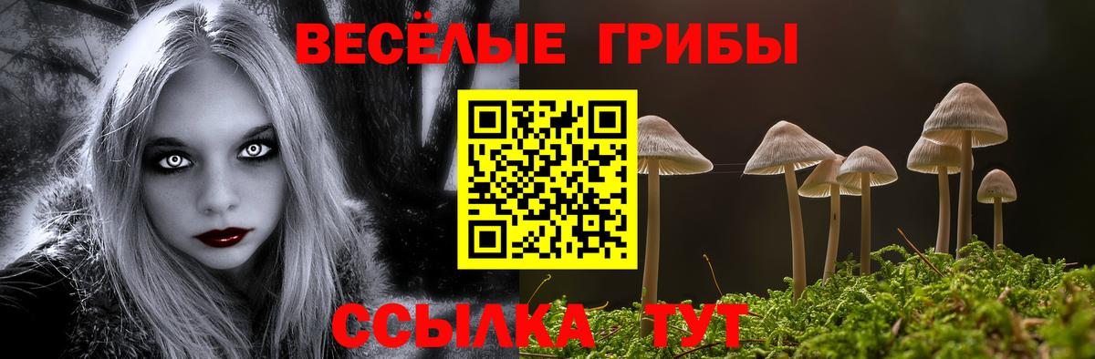 Галлюциногенные грибы прущие грибы Новотроицк